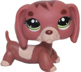 #3601 Dachshund